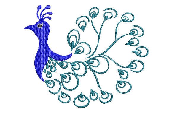Beautiful Peacock s Tail