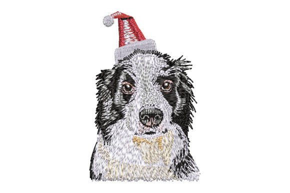 Border Collie Wearing a Santa Hat