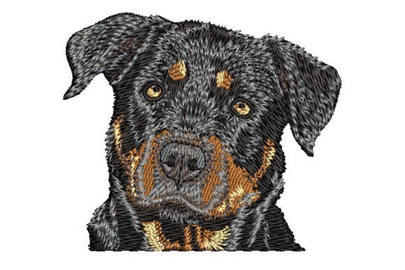 Rottweiler